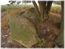 Dahlem Steingrab - PID:50332