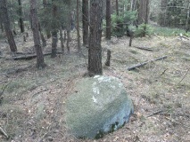 Eimke Steingrab - PID:50066