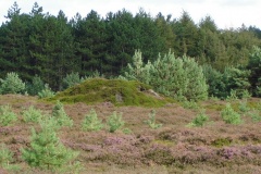 Holter Heide Huegelgraeber - PID:90355