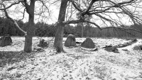 Oldendorf Langbett 4 - PID:103884