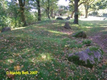 Altenmedingen Langbett 1 - PID:42866