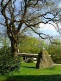 Steinbeck Huenenschloss - PID:38847