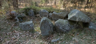 Gnarrenburg Eichholz Steingrab - PID:56409