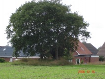 Midlum Huegelgrab (2) - PID:90315