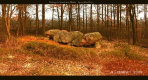 Sprakeler Heide Steingrab - PID:46357