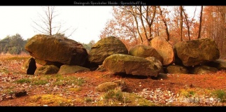 Sprakeler Heide Steingrab - PID:46485