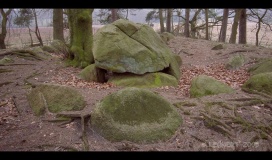 Rickelmann 2 Grosssteingrab - PID:54564
