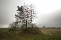 Brake Huegelgrab - PID:56111