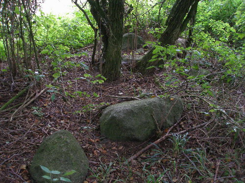 remains of the chambered tomb Dölitz 1