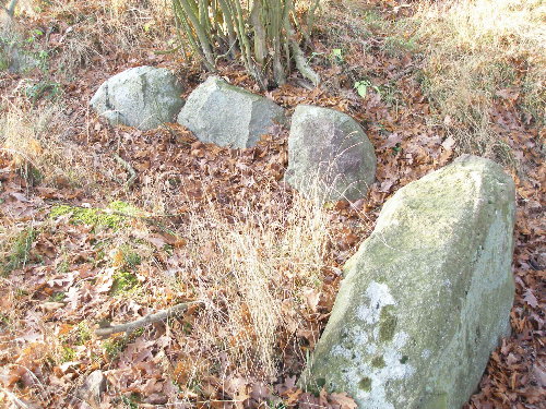 Loppin Steingrab 1