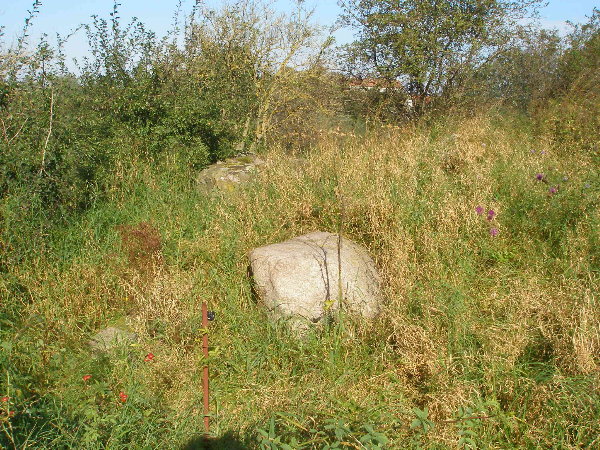 Steingrab Möllenhagen