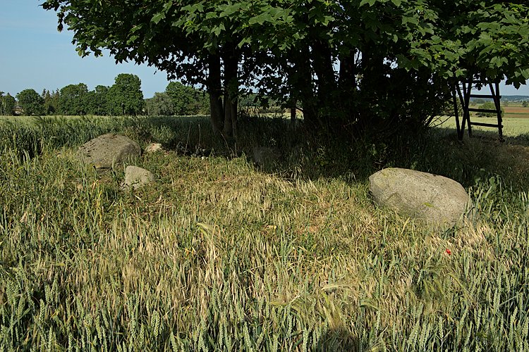Laboemitz Steingrab (PID:121213) Laboemitz Steingrab