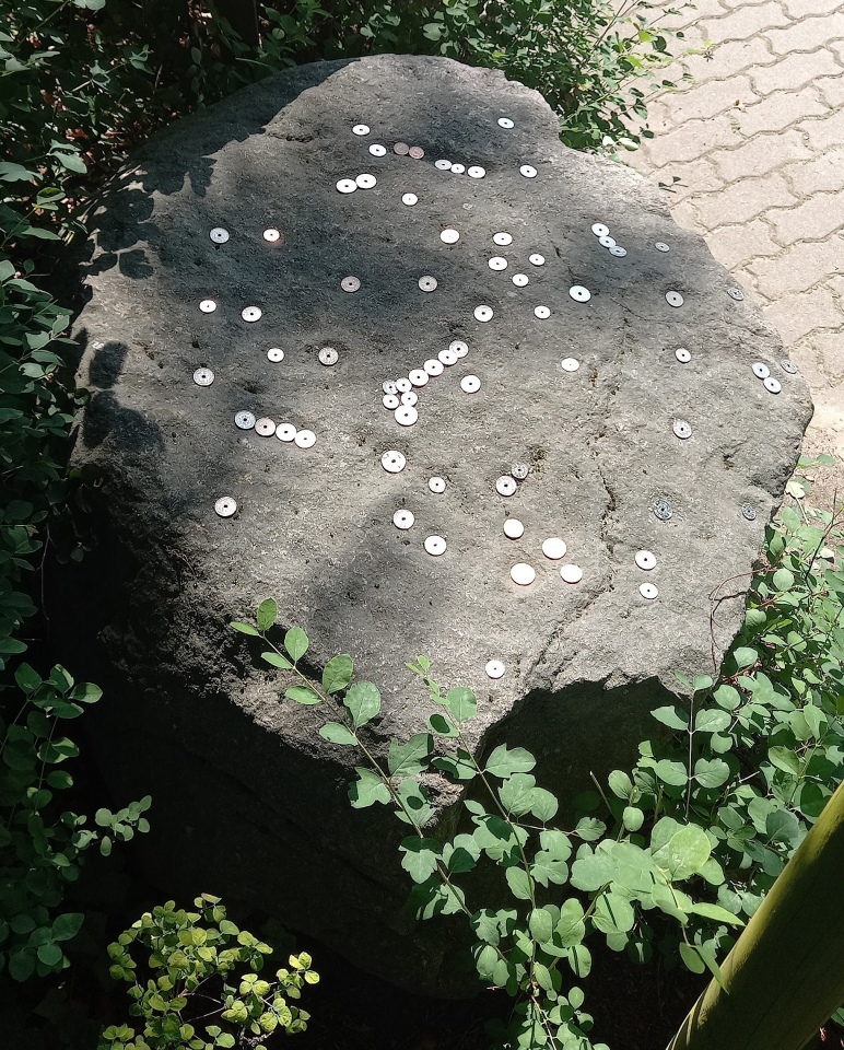 Click for full size image of Schälchenstein und Mahlsteinsammlung im Tierpark Wolgast (PID:291727) Schälchenstein und Mahlsteinsammlung im Tierpark Wolgast