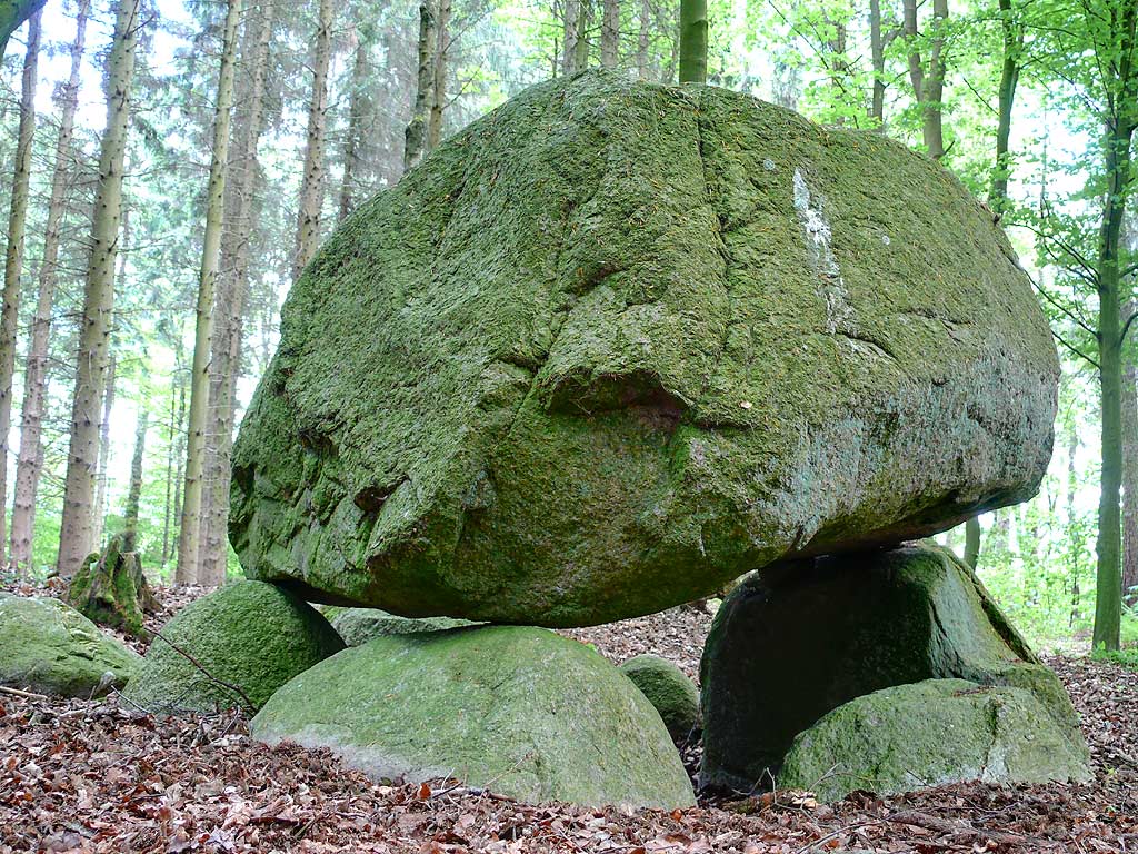 Forst Cammin Dolmen (1)