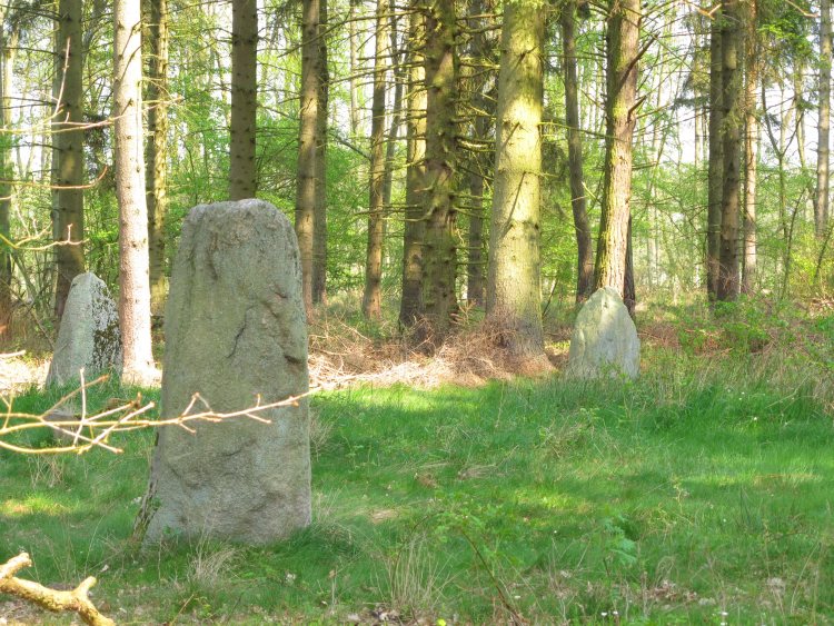 Click for full size image of Netzeband Steinkreis (PID:57676) Netzeband Steinkreis