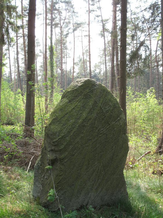 Click for full size image of Netzeband Steinkreis (PID:57678) Netzeband Steinkreis