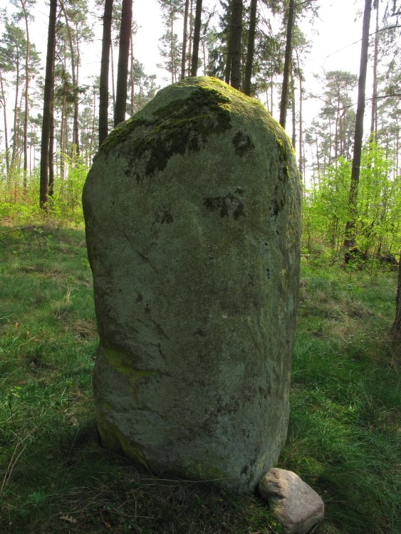 Click for full size image of Netzeband Steinkreis (PID:57679) Netzeband Steinkreis