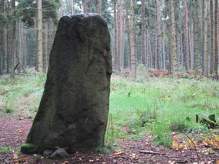 Netzeband Steinkreis (PID:22110) Netzeband Steinkreis