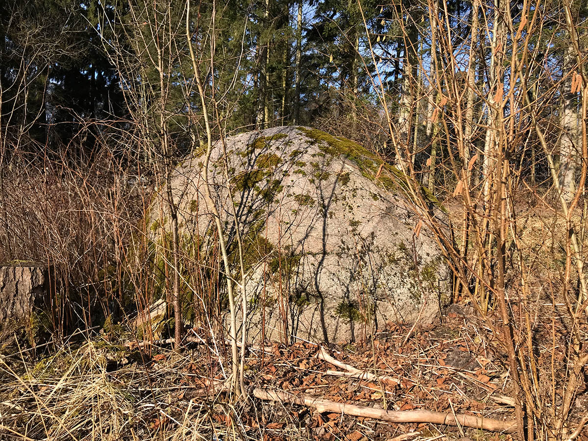 Riesenstein Flotow