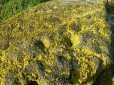 Remlin Steingrab 1