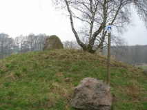 Wilsen-Kuchelmiss Steingrab 1 - PID:22734