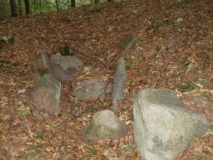 Everstorfer Forst Nord (10) - PID:25160