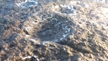 Click for full size image of Schälchenstein Nadrensee (PID:266621) Schälchenstein Nadrensee
