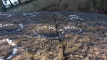 Click for full size image of Schälchenstein Nadrensee (PID:266623) Schälchenstein Nadrensee
