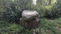 Click for full size image of Schälchenstein und Mahlsteinsammlung im Tierpark Wolgast (PID:291725) Schälchenstein und Mahlsteinsammlung im Tierpark Wolgast
