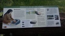 Click for full size image of Schälchenstein und Mahlsteinsammlung im Tierpark Wolgast (PID:291717) Schälchenstein und Mahlsteinsammlung im Tierpark Wolgast