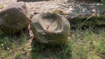 Click for full size image of Schälchenstein und Mahlsteinsammlung im Tierpark Wolgast (PID:291723) Schälchenstein und Mahlsteinsammlung im Tierpark Wolgast