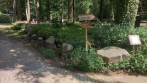 Click for full size image of Schälchenstein und Mahlsteinsammlung im Tierpark Wolgast (PID:291716) Schälchenstein und Mahlsteinsammlung im Tierpark Wolgast