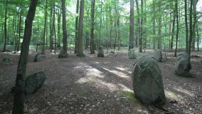 Lenzen Steintanz - PID:63466