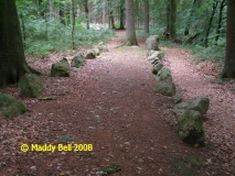 Everstorfer Forst Nord (3) - PID:42354
