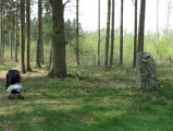 Click for full size image of Netzeband Steinkreis (PID:57677) Netzeband Steinkreis