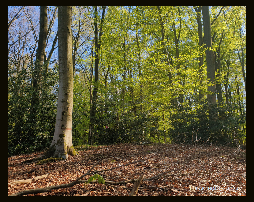 Click for full size image of Berghofen Huegelgrab (PID:245672) Berghofen Huegelgrab