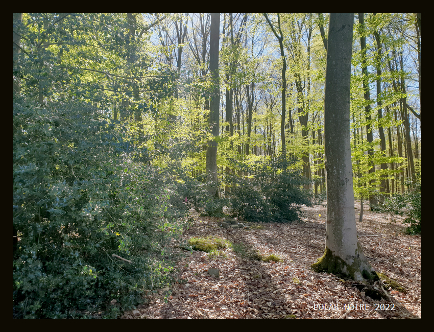 Click for full size image of Berghofen Huegelgrab (PID:252461) Berghofen Huegelgrab