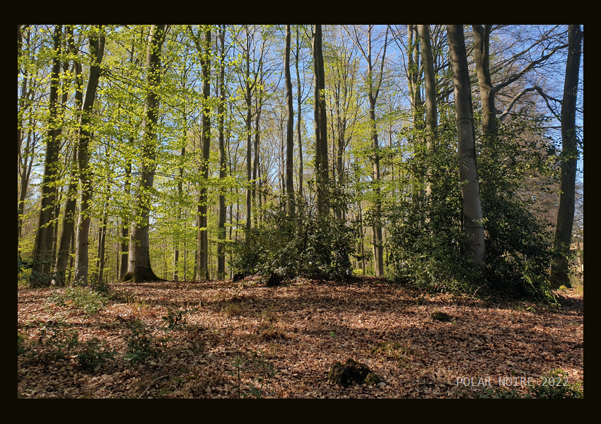 Click for full size image of Berghofen Huegelgrab (PID:252462) Berghofen Huegelgrab