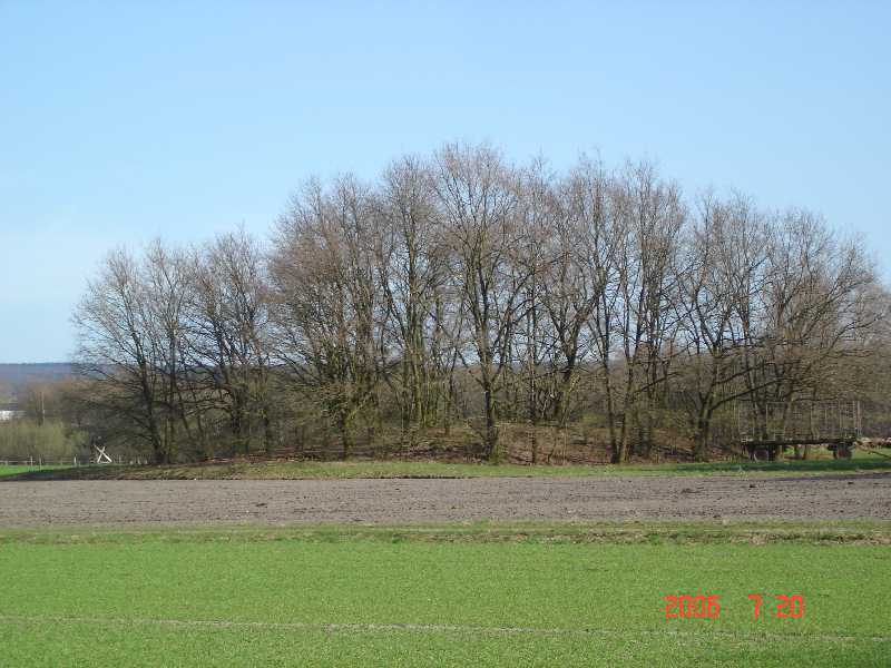 distant view to the most eastern specimen of the barrow cemetery

(view approximately from the Northwest,

April 2010)