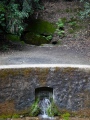 Borbecke Quelle
