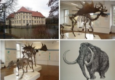 Neandertaler-Rastplatz bei Herne - PID:99875