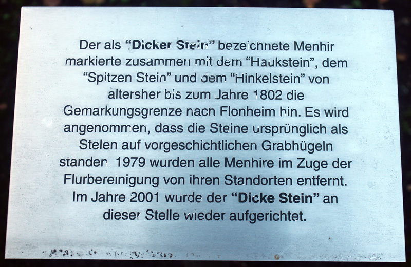Dicke Stein
