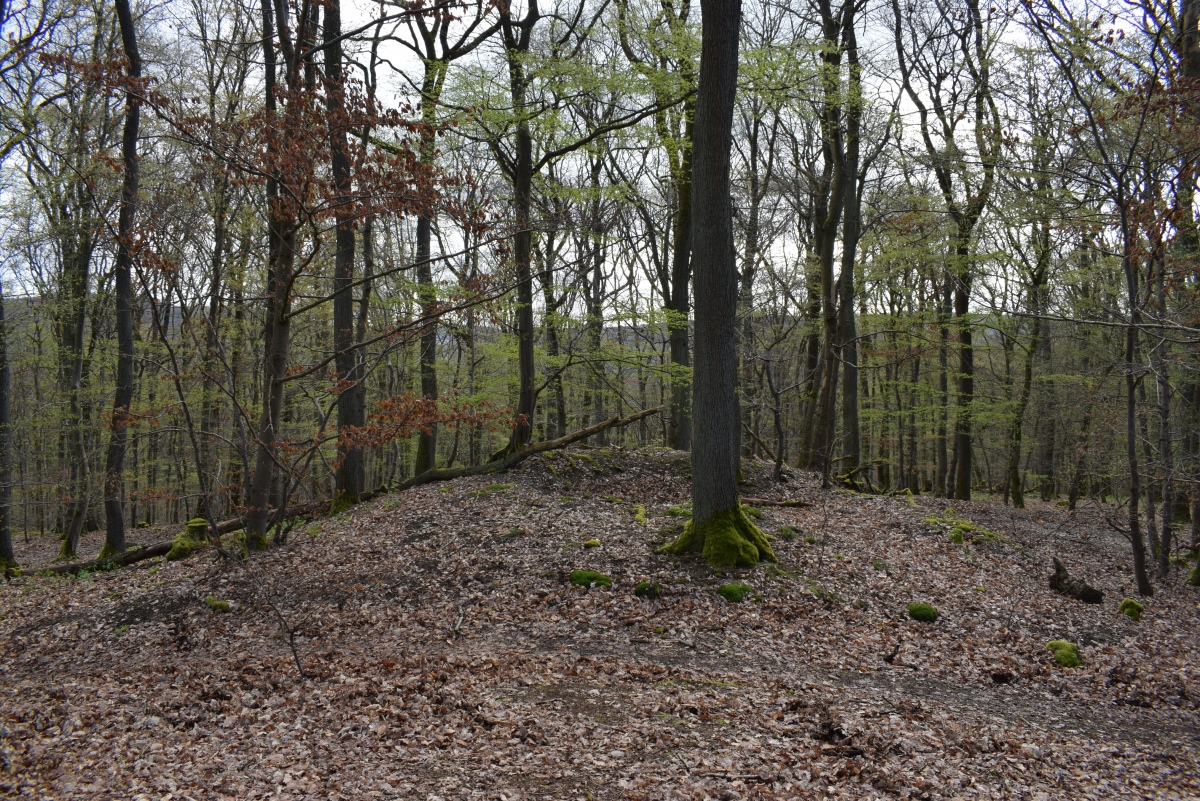 Click for full size image of Alte Schanz Ohligs-Berg (PID:257022) Alte Schanz Ohligs-Berg
