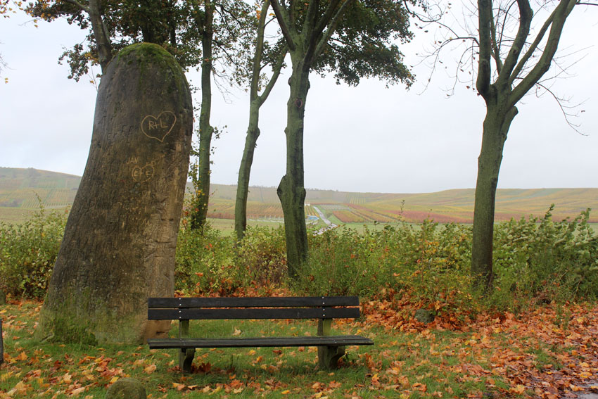 Selzen standing stone embedded in the vineyard landscape.