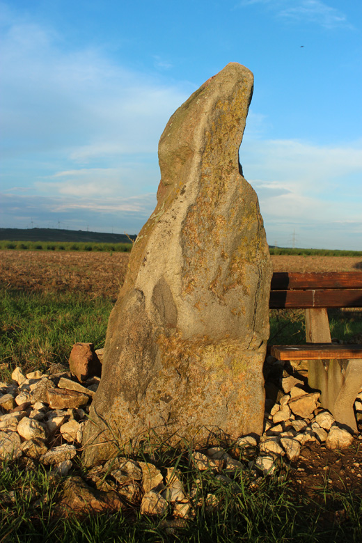 Langer Stein Flonheim