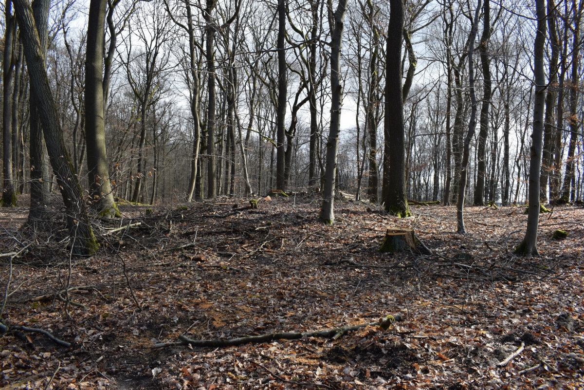 Click for full size image of Alte Schanz Ohligs-Berg (PID:257020) Alte Schanz Ohligs-Berg