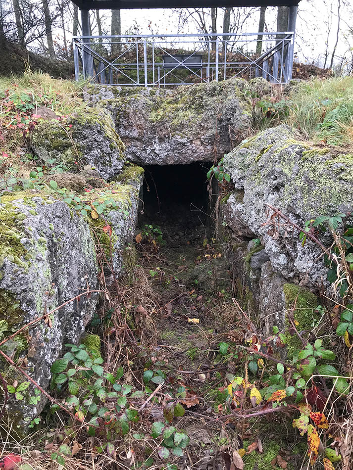 Strotzbüscher Tumm (PID:173051) Strotzbüscher Tumm