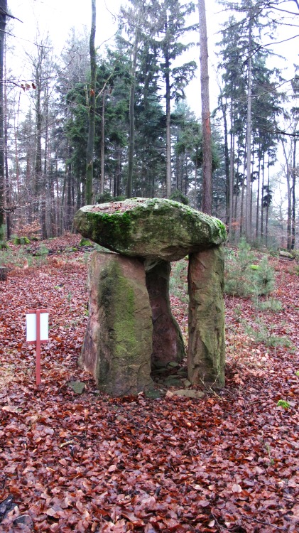 Mollenkopf modern dolmen. In a nice surrounding in the middle of a deep forest.