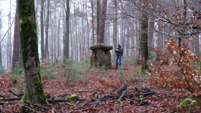  the mollenkopf modern Dolmen. In a nice surrounding in the middle of a deep forest.