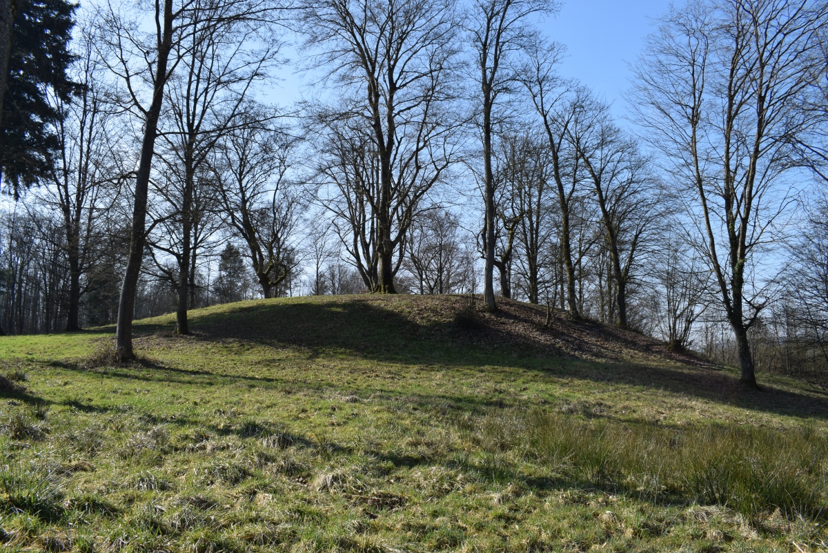 Click for full size image of Franzensknueppchen (PID:286698) Franzensknueppchen